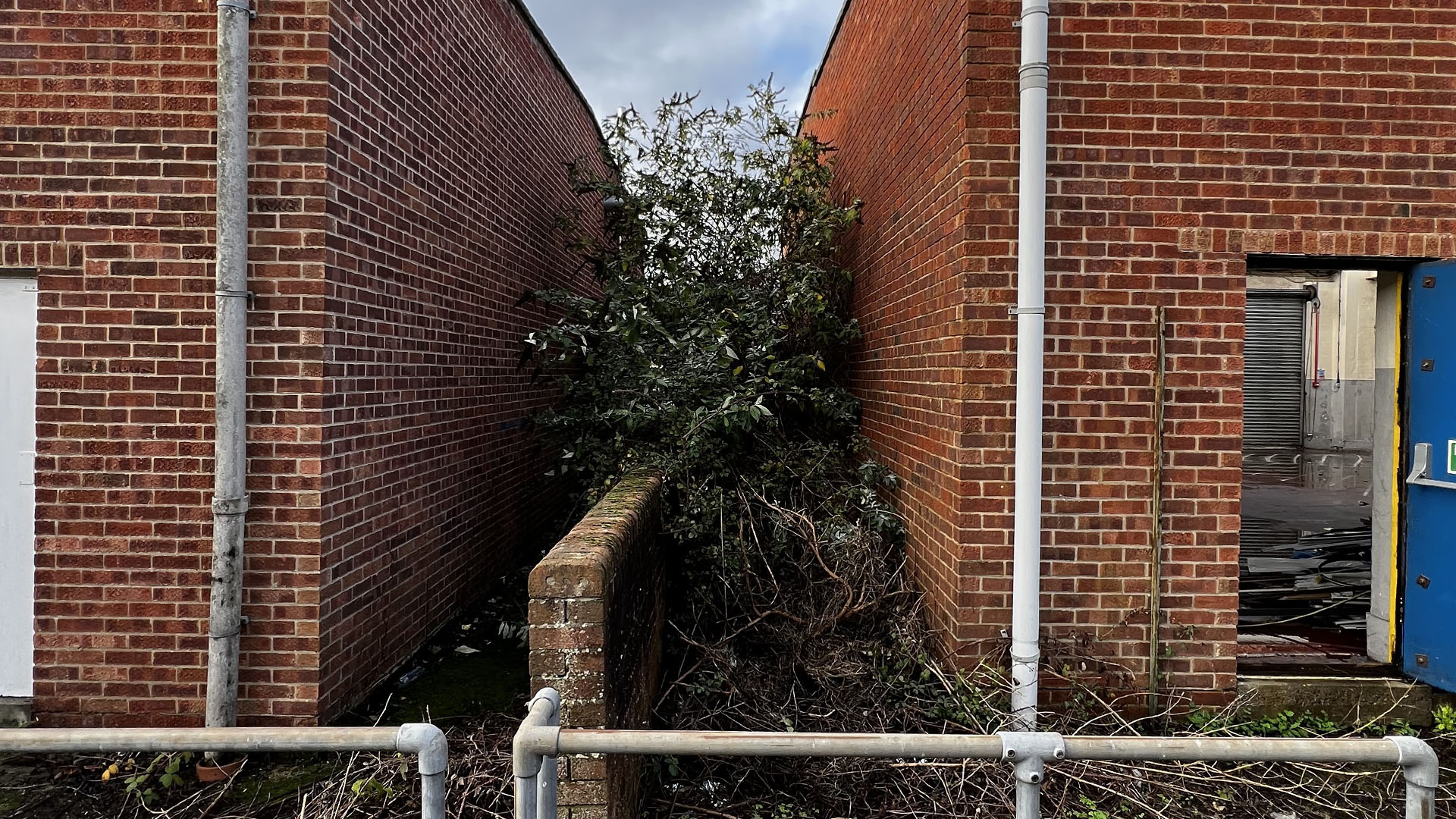 Who Should You Contact First — The Council, a Surveyor, or Your Neighbour Warrington?